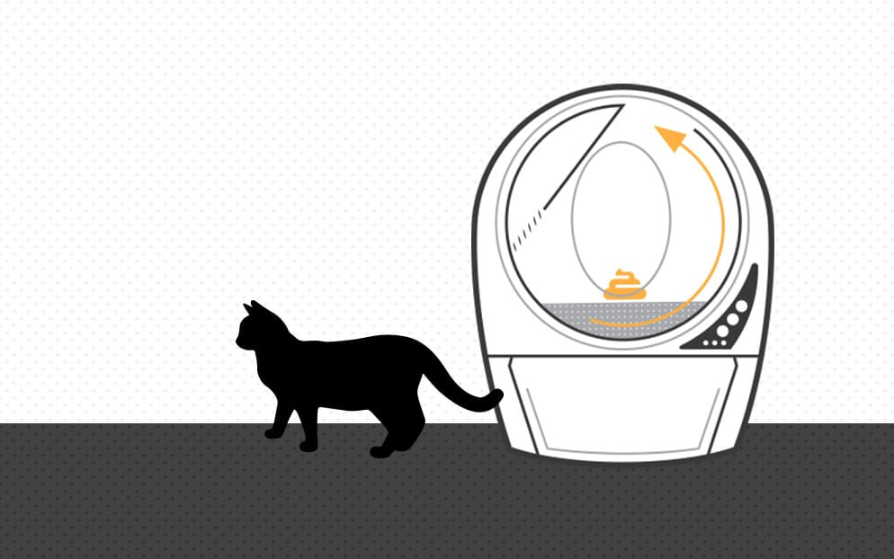 litter fonctionnement