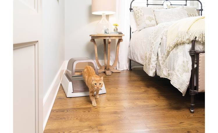 petsafe scoopfree ultra