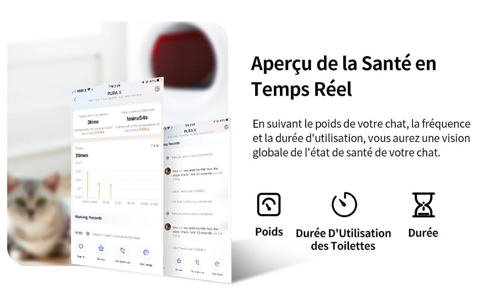 santé chat petkit